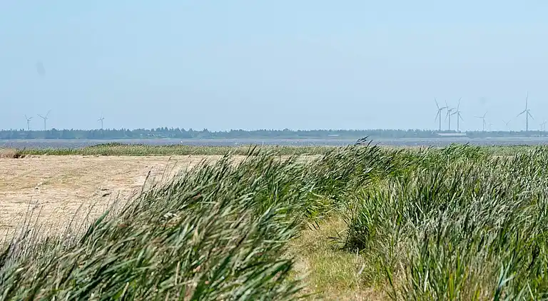 Holiday home in Ulfborg