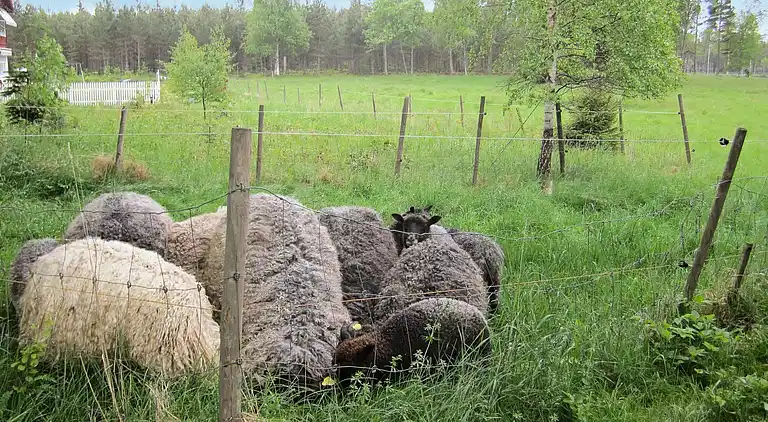 Holiday home in Jönköping SV