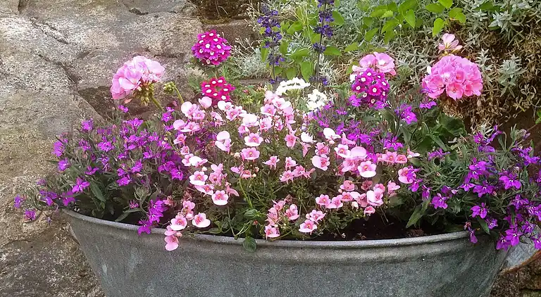 Casa de vacaciones en Kungshamn