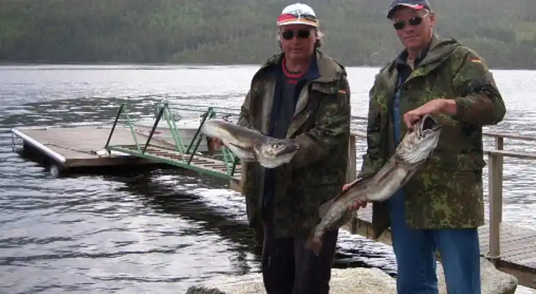 Holiday home in Surnadal