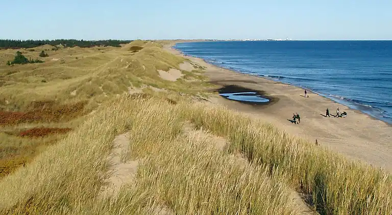 Holiday home in Ålbæk