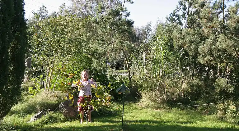 Sommerhus i Væggerløse