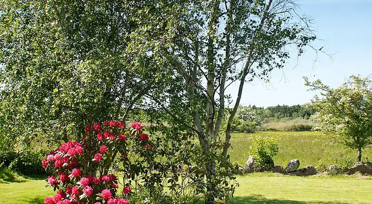 Holiday home in Ristinge