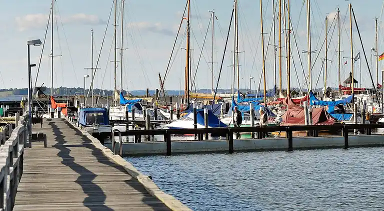 Holiday home in Wackerballig