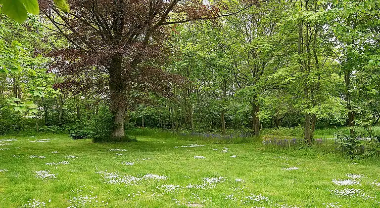 Sommerhus i Bredebro