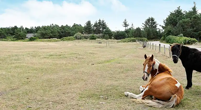 Holiday home in Vejers Strand