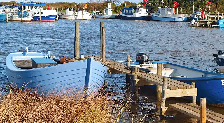 Holiday home in Bork Havn