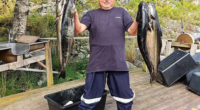 Holiday home in Surnadal