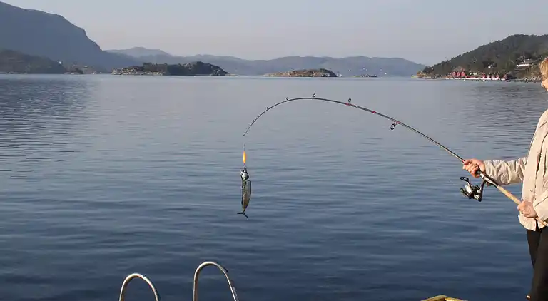 Holiday home in Nessa