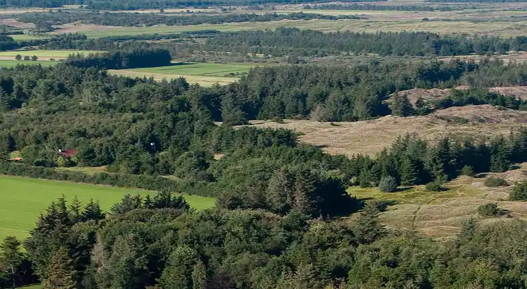 Holiday home in Bedsted