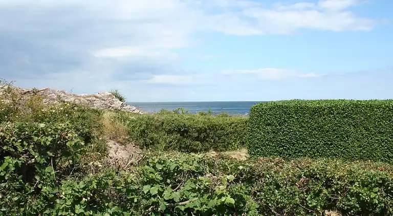 Holiday home in Allinge