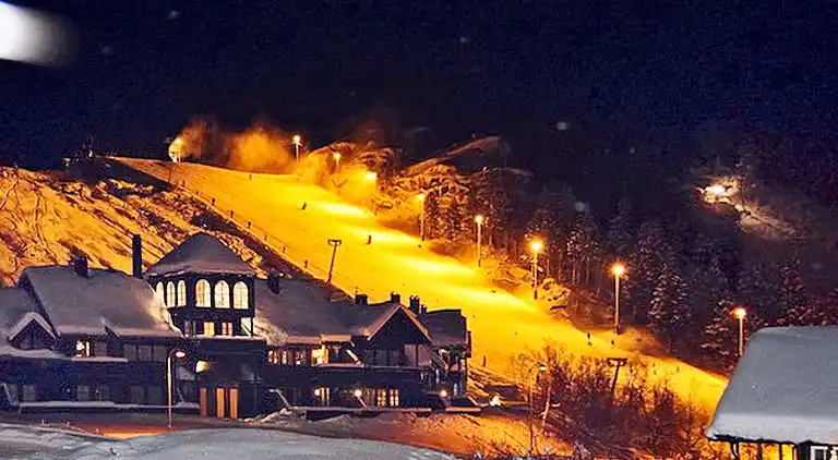 Holiday home in Bortelid