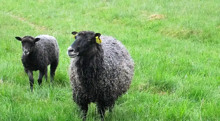 Holiday home in Jönköping SV