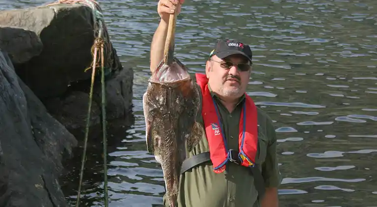 Vakantiehuis in Stad