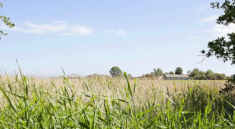 Maison de vacances en Store Fuglede