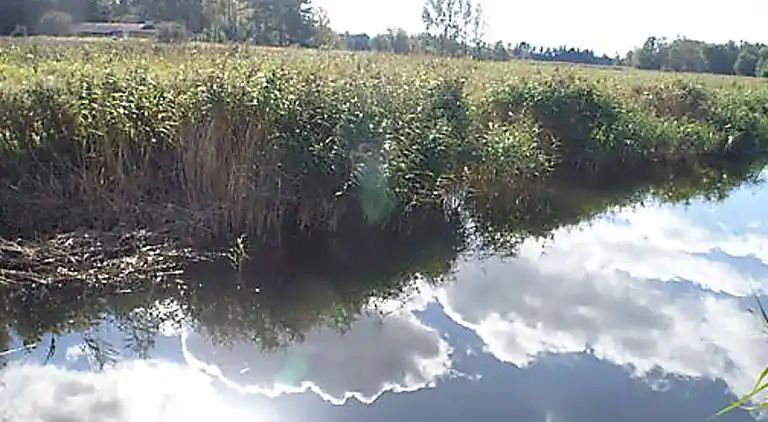 Semesterbostad i Gørlev