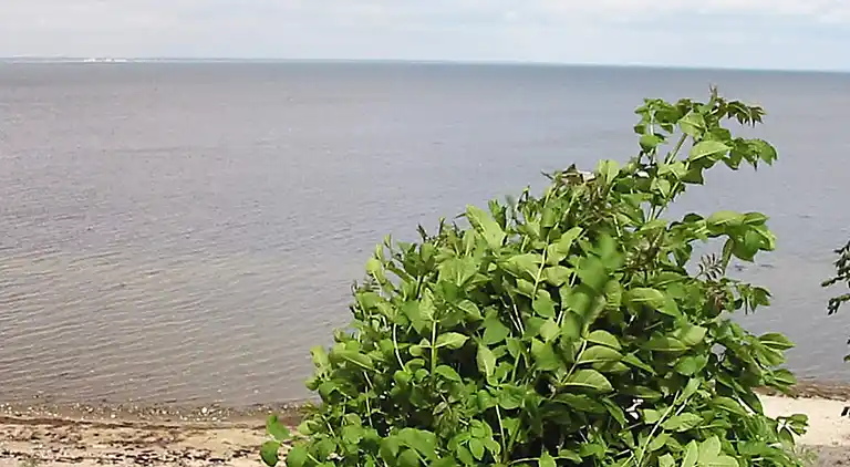 Holiday home on Præstø