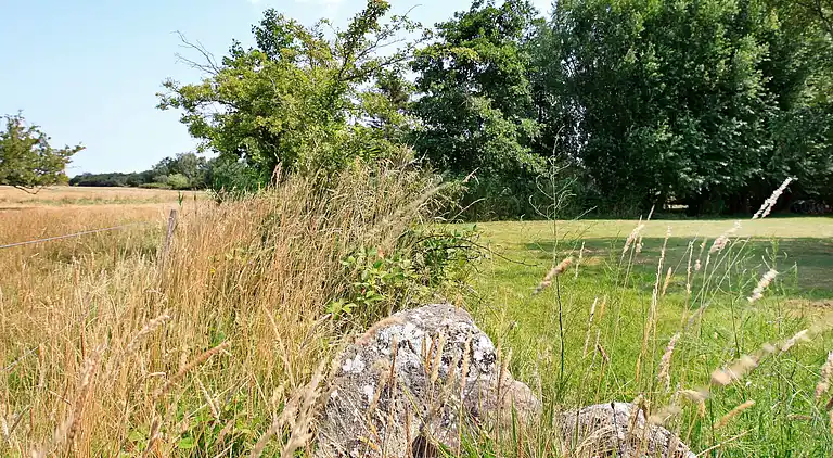 Holiday home in Ristinge