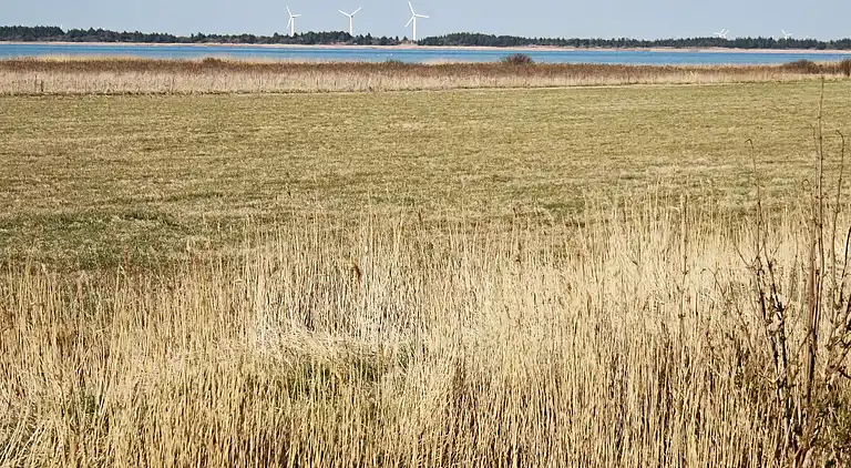 Holiday home in Ulfborg