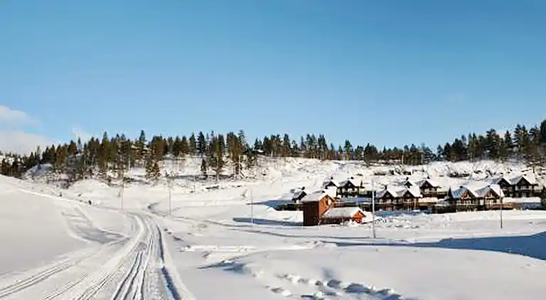 Holiday home in Bortelid