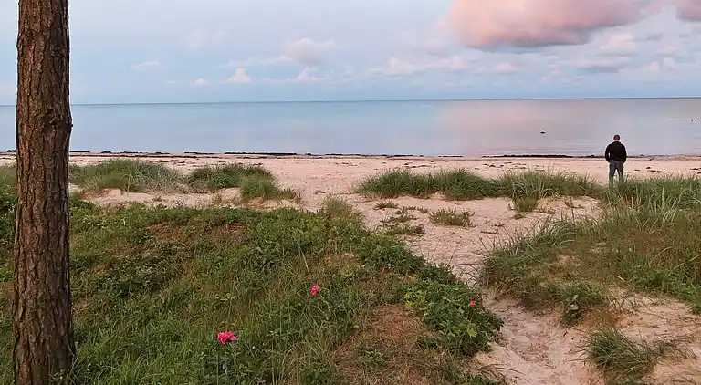 Feriebolig i Snogebæk