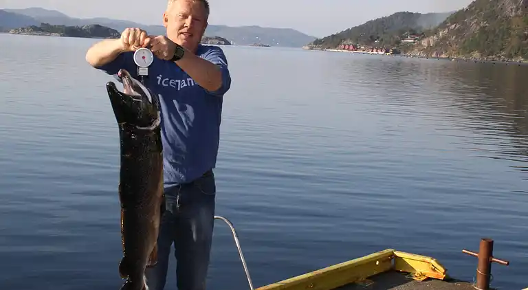 Holiday home in Nessa