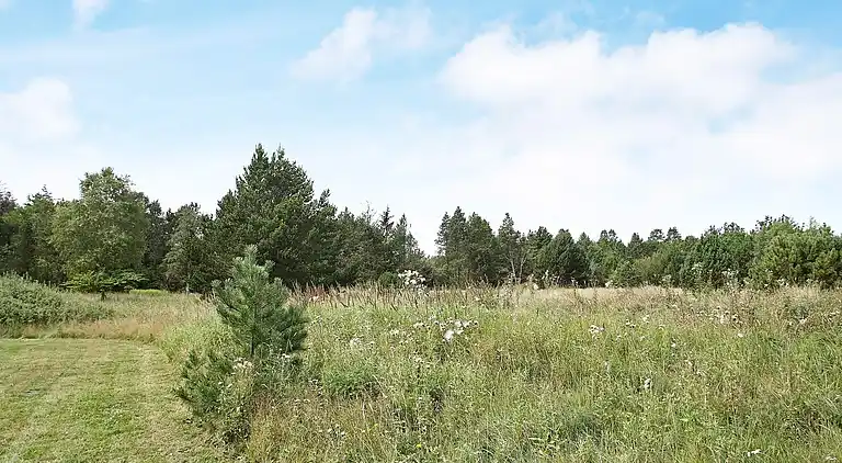 Holiday home in Ålbæk