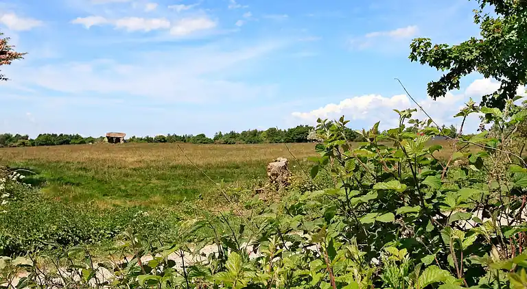 Holiday home in Ristinge