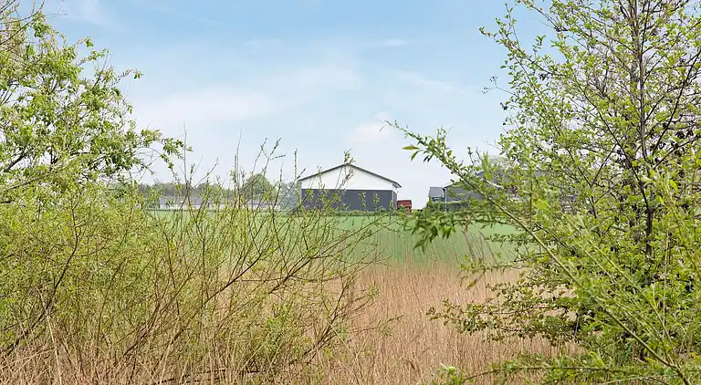 Maison de vacances en Store Fuglede