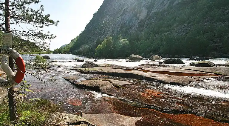 Holiday home in Bortelid