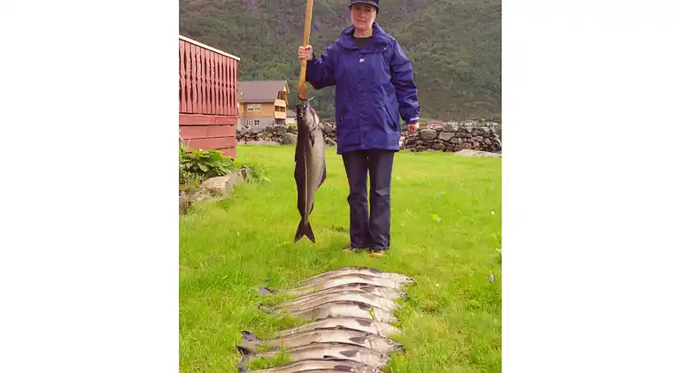 Vakantiehuis in Stad