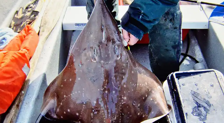 Holiday home in Eidsvåg
