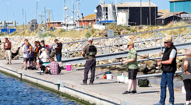 Holiday home in Ringkobing