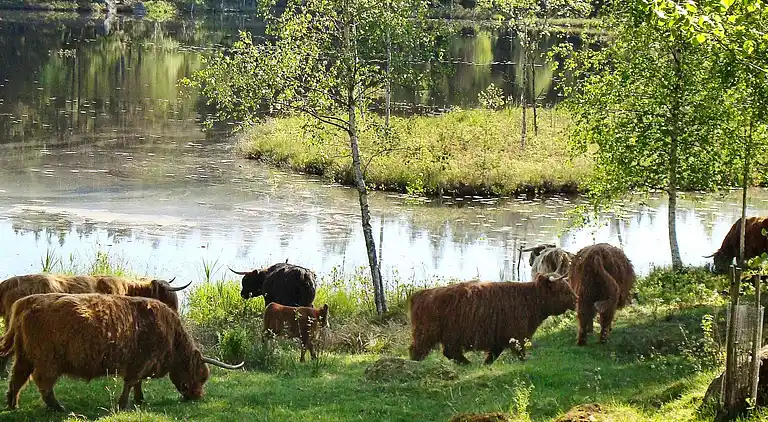 Holiday home in Karlskrona NV