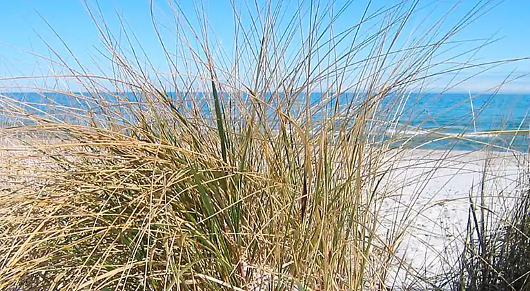 Holiday home in Nexø