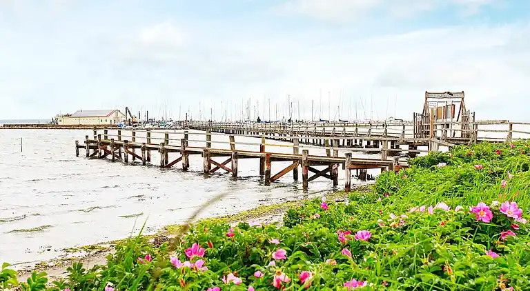 Holiday home in Wackerballig