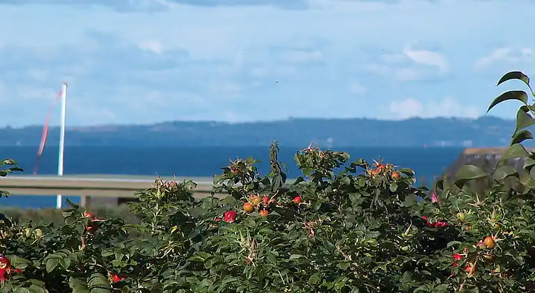 Holiday home in Assens