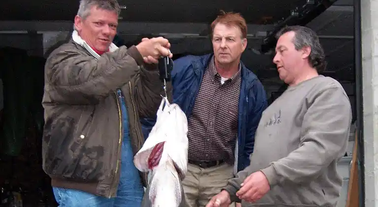 Holiday home in Surnadal