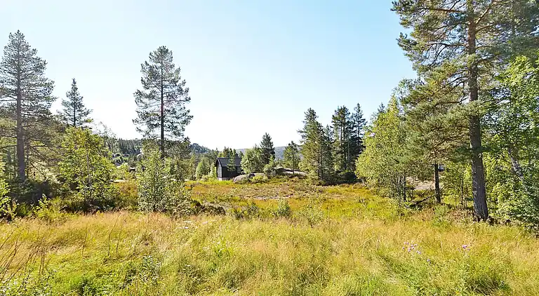 Semesterbostad i Bortelid