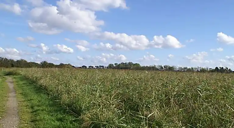 Semesterbostad i Gørlev
