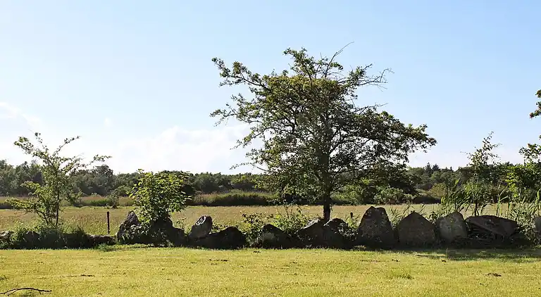 Holiday home in Ristinge