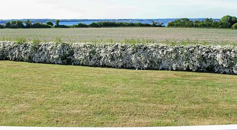 Ferienhaus in Svendborg