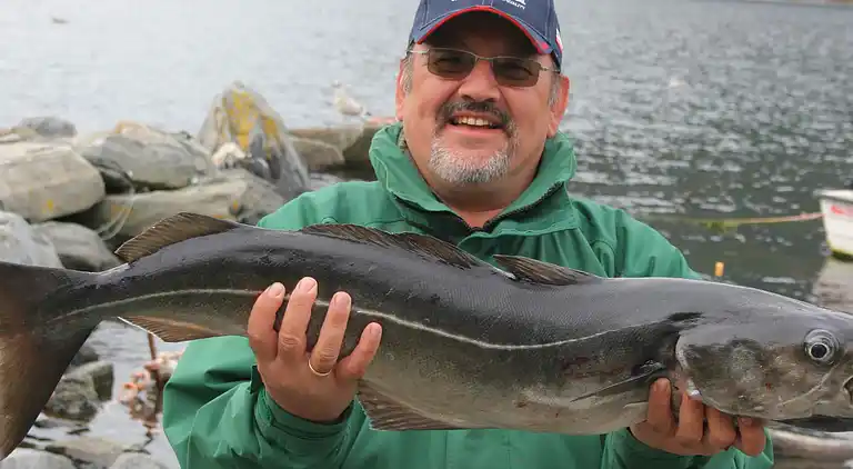 Vakantiehuis in Stad