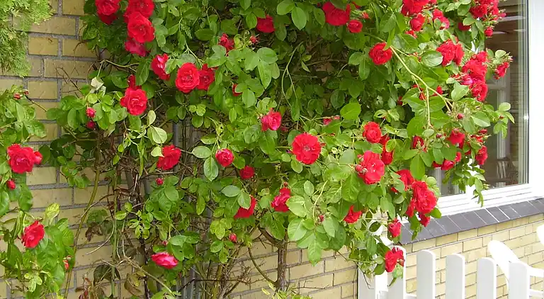 Holiday home in Dannemare