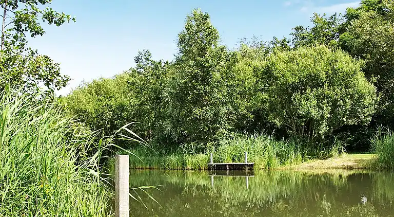 Holiday home in Otterndorf