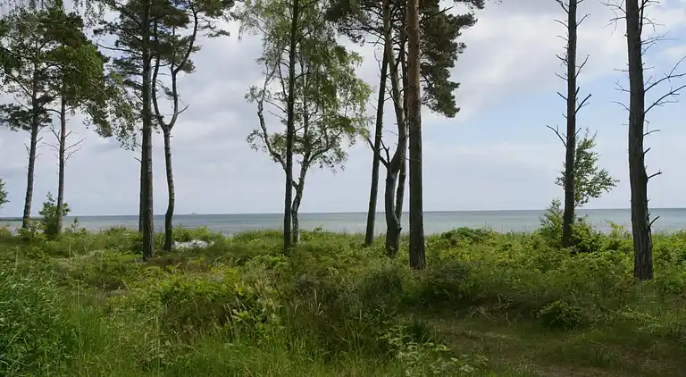 Ferienhaus in Snogebæk