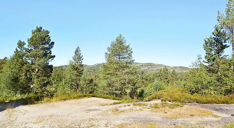 Semesterbostad i Bortelid