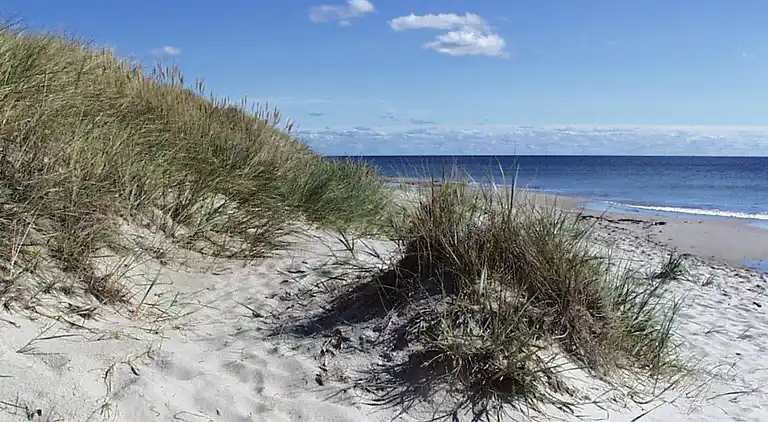 Feriebolig i Sømarken