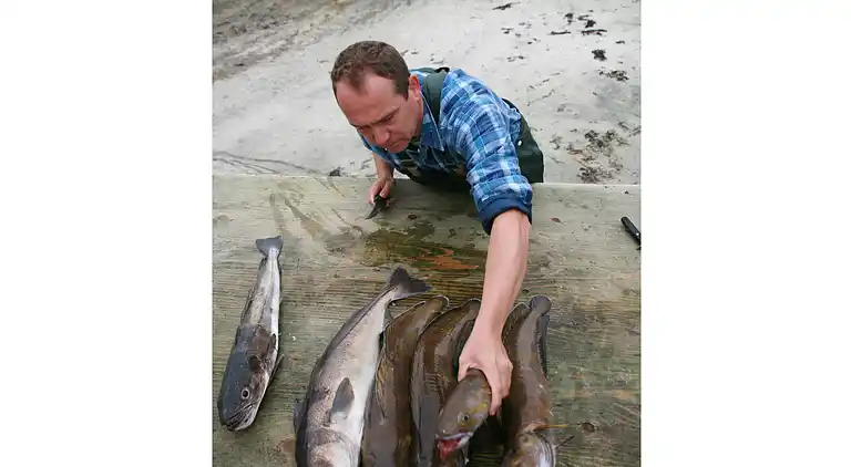 Holiday home in Vanylven