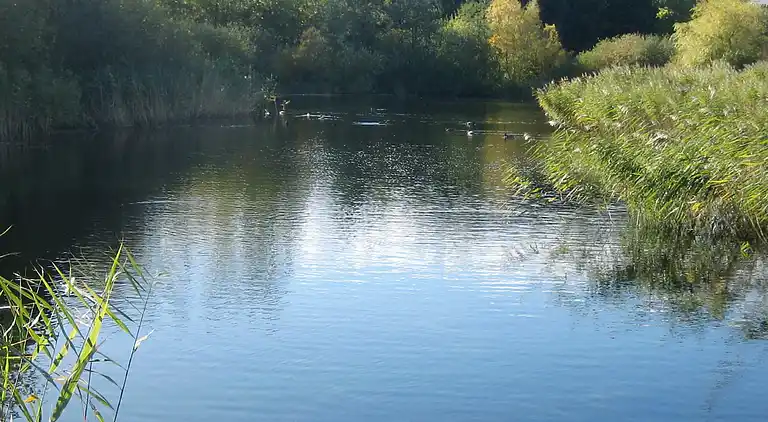 Sommerhus i Tranekær